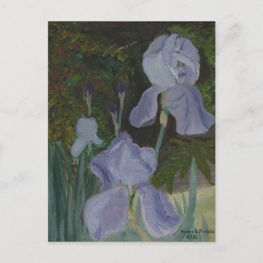 Carte postale Iris à boucle (Devant)
