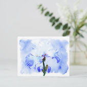 Carte Postale Iris Arborés - Bleu Et Blanc (Debout devant)