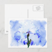 Carte Postale Iris Arborés - Bleu Et Blanc (Devant / Derrière)