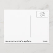 Carte Postale Iris au Missouri Botanical Garden (Dos)