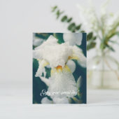 Carte Postale Iris avec gouttelettes d'eau (Debout devant)