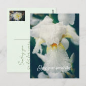 Carte Postale Iris avec gouttelettes d'eau (Devant / Derrière)