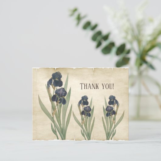 Carte Postale Iris Barbus Bleus Botaniques Anciens Merci (Debout devant)