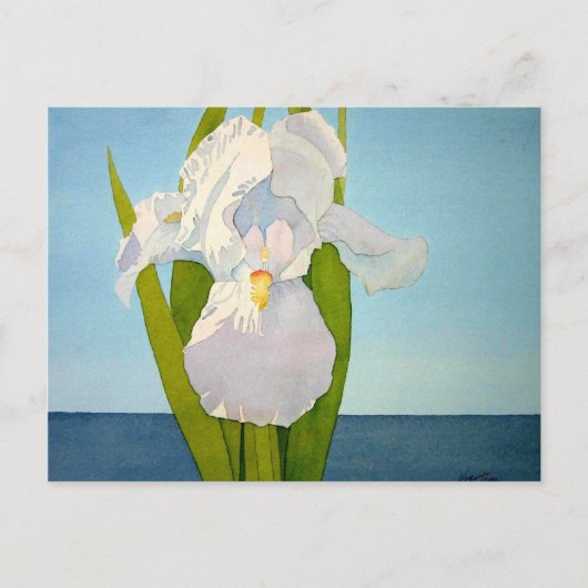 Carte Postale Iris blanc2 (Devant)