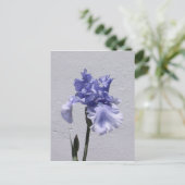 Carte Postale Iris Bloom (Debout devant)