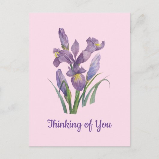 Carte Postale Iris botanique aquarelle violet Pensée pour vous (Devant)