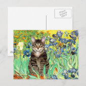 Carte Postale Iris - Chat tigré tabby 30 (Devant / Derrière)