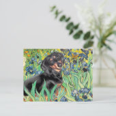 Carte Postale Iris - Dachsund (BT4) (Debout devant)