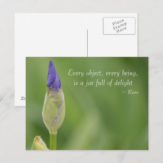 Carte Postale iris de printemps (Devant / Derrière)