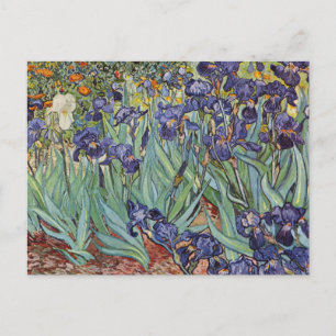 Carte Postale Iris de Van Gogh Peinture Impressionniste