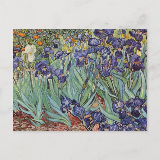 Carte Postale Iris de Van Gogh Peinture Impressionniste (Devant)