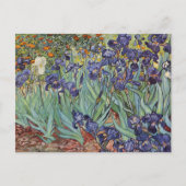 Carte Postale Iris de Van Gogh Peinture Impressionniste (Devant)