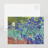 Carte Postale Iris de Vincent van Gogh (Devant / Derrière)