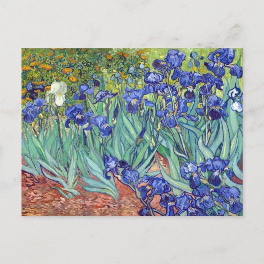Carte Postale Iris de Vincent van Gogh (Devant)