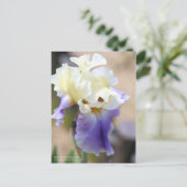 Carte Postale Iris "Edith Wolford" [Carte postale] (Debout devant)