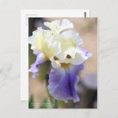 Carte Postale Iris "Edith Wolford" [Carte postale] (Devant / Derrière)