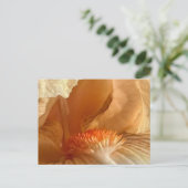 Carte postale Iris Embarquée Par Apricot (Debout devant)