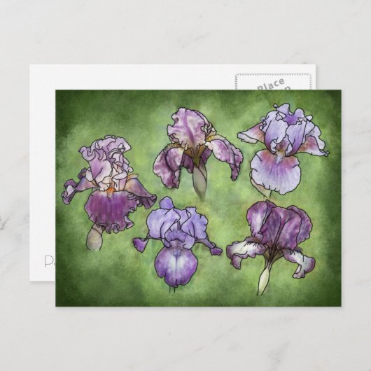 Carte Postale Iris en violet (Devant / Derrière)