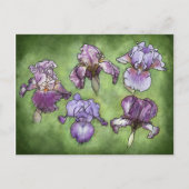 Carte Postale Iris en violet (Devant)
