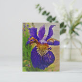 Carte Postale Iris Fleur de Lys bleu Canada Québec (Debout devant)