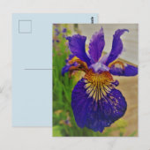 Carte Postale Iris Fleur de Lys bleu Canada Québec (Devant / Derrière)