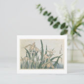 Carte Postale Iris Flowers and Grasshopper, c.1830-31 (Debout devant)