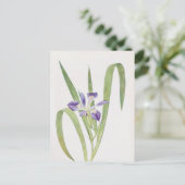 Carte Postale Iris Foliosa par William Dykes (Debout devant)