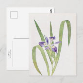 Carte Postale Iris Foliosa par William Dykes (Devant / Derrière)