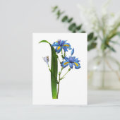 Carte Postale Iris Frangee par Joseph Pierre Redoute (Debout devant)