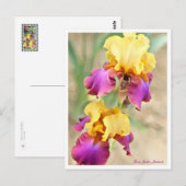 Carte Postale Iris Gala Madrid (Devant / Derrière)