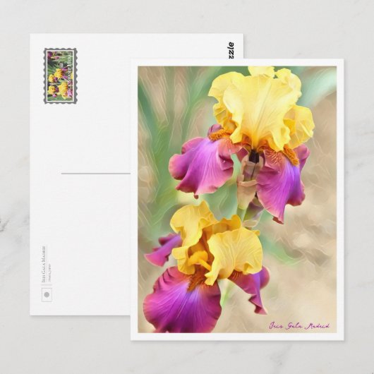 Carte Postale Iris Gala Madrid (Devant / Derrière)