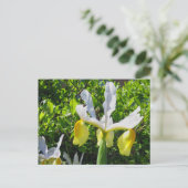 Carte postale Iris Garden (Debout devant)