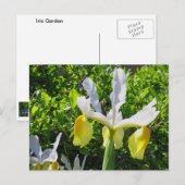Carte postale Iris Garden (Devant / Derrière)