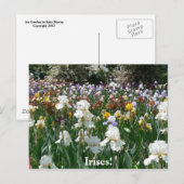 Carte Postale Iris Garden 4 (Devant / Derrière)