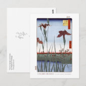 Carte Postale Iris Garden Postcard (Devant / Derrière)