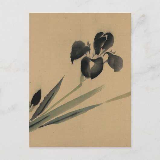 Carte Postale Iris japonais Ukiyo-e Art (Devant)