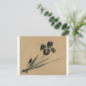 Carte Postale Iris japonais Ukiyo-e Art (Debout devant)