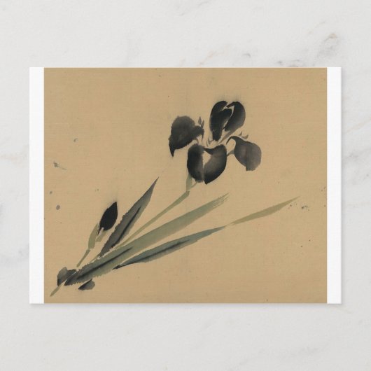 Carte Postale Iris japonais Ukiyo-e Art (Devant)