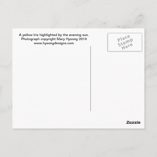 Carte Postale Iris Jaune (Dos)