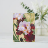 Carte Postale Iris "Latin Hideaway" [Carte postale] (Debout devant)