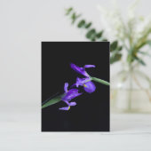 Carte postale Iris Lovers (Debout devant)