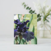 Carte Postale Iris noir (Debout devant)