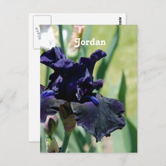 Carte Postale Iris noir (Devant / Derrière)