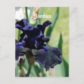 Carte Postale Iris noir (Devant)