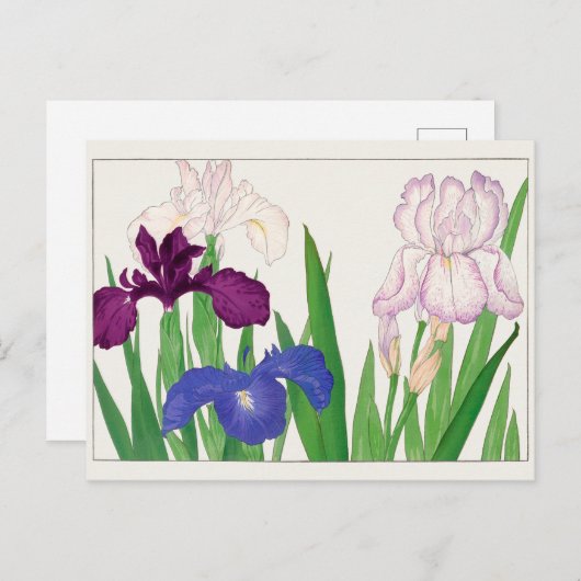 Carte Postale Iris par Tanigami Konan (Devant / Derrière)