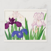 Carte Postale Iris par Tanigami Konan (Devant)