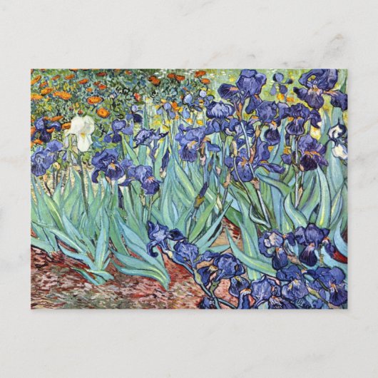 Carte Postale Iris par Vincent van Gogh 1898 (Devant)