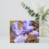 Carte postale Iris - personnaliser pour toute occa (Debout devant)
