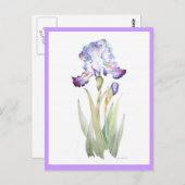 Carte Postale Iris pourpre (Devant / Derrière)