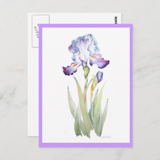 Carte Postale Iris pourpre (Devant / Derrière)